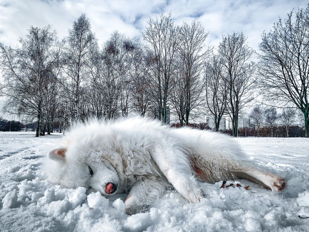 Photograph by Никита Борзов