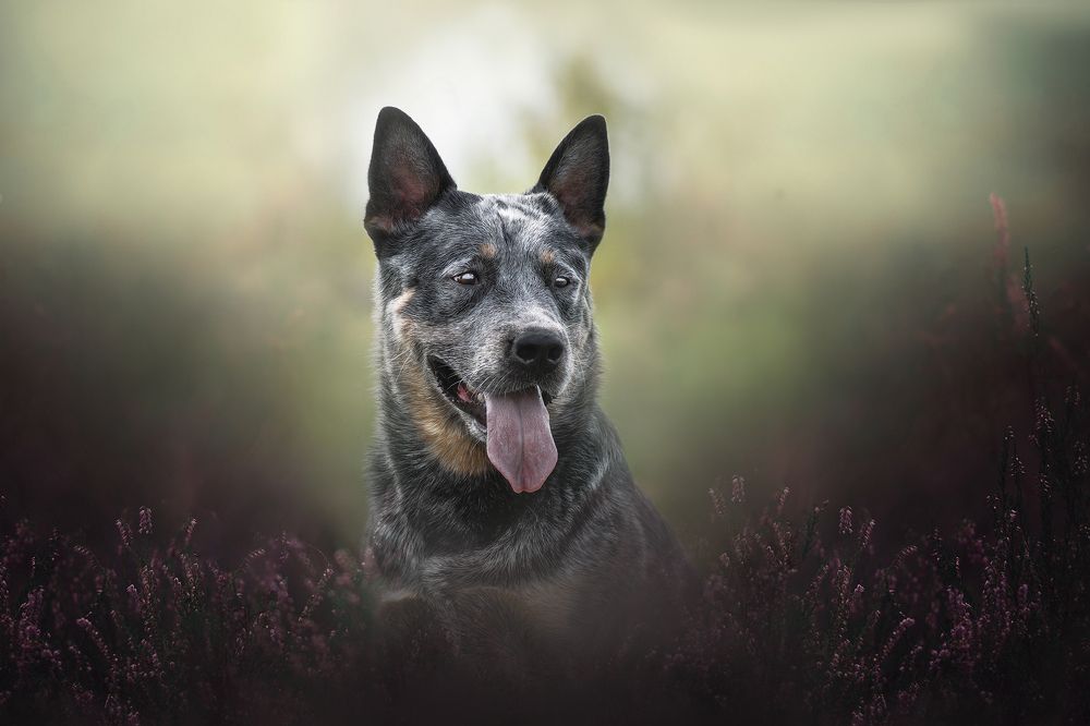 Photograph by Юлия Гончар