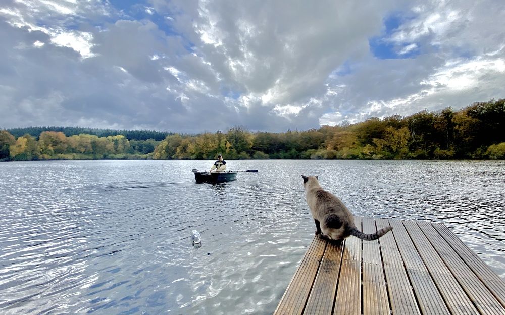 Photograph by LYUDMYLA POKRYSHEN