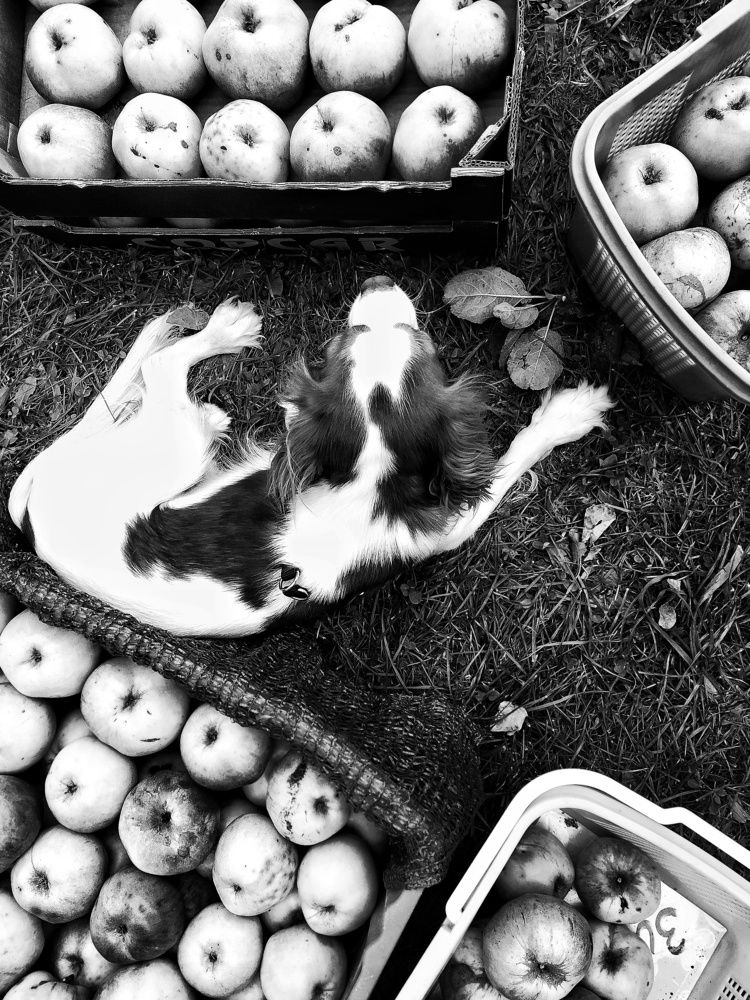 Photograph by Татьяна Мазок