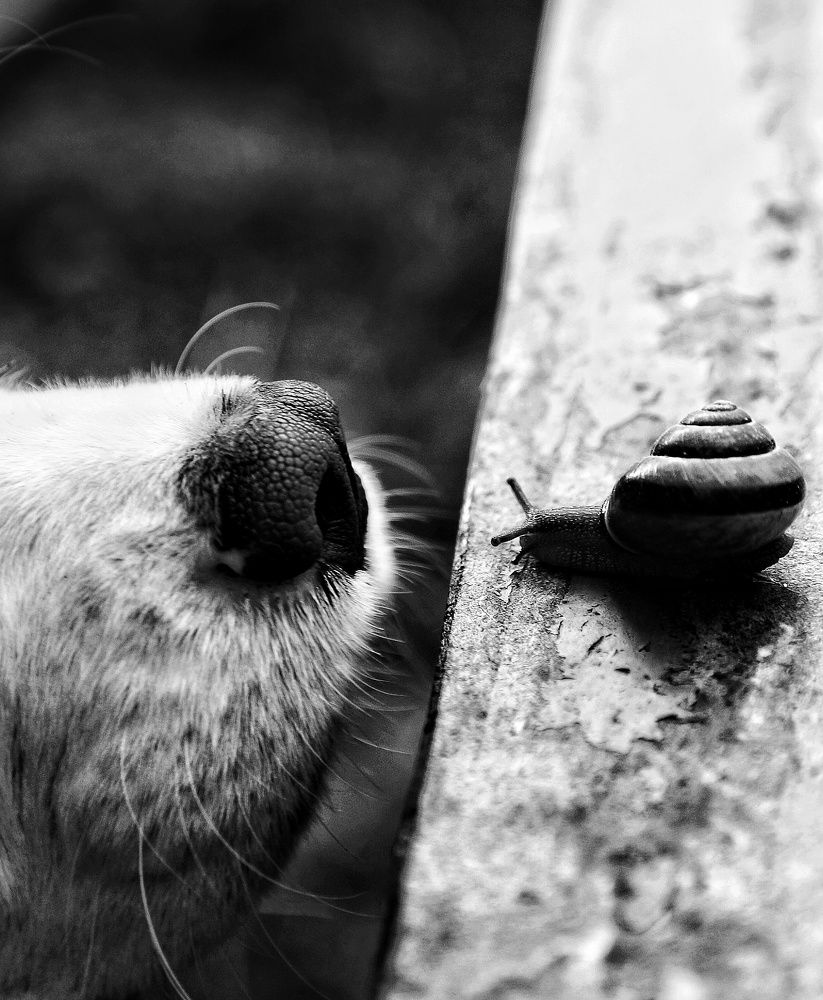 Photograph by Татьяна Мазок