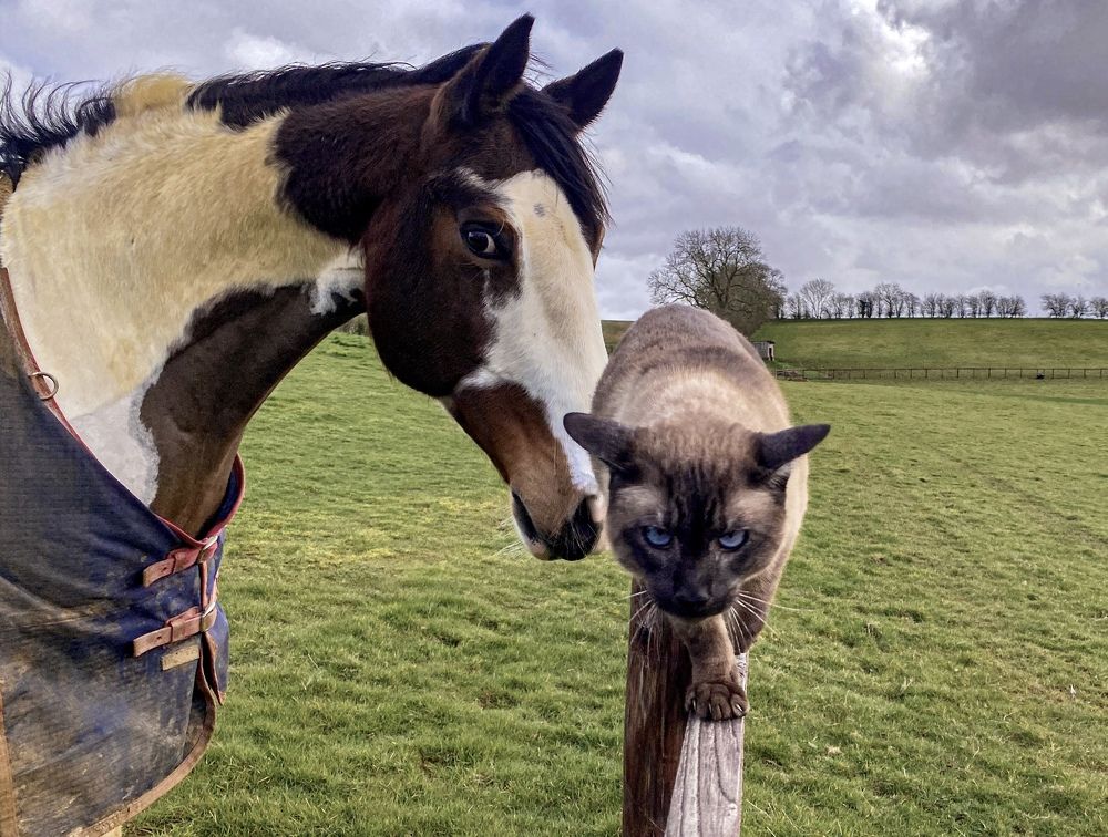 Photograph by LYUDMYLA POKRYSHEN