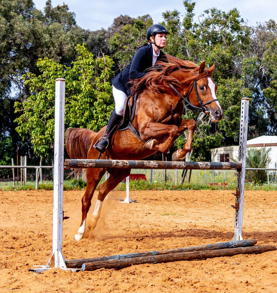 Фотография автора ADLER GOLDFARB