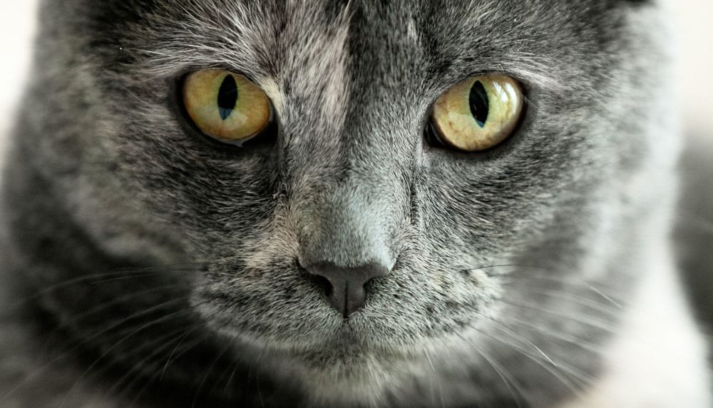 Photograph by ИРЕНА Федорова