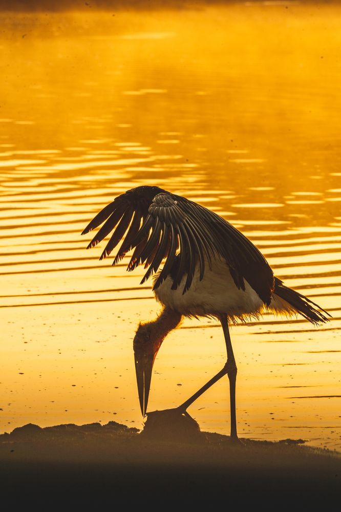 Photograph by Slym Son