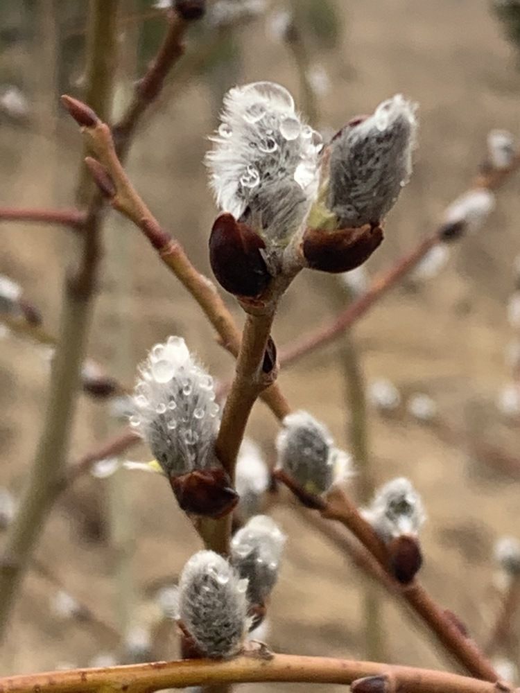 Photograph by Светлана Пономаренко