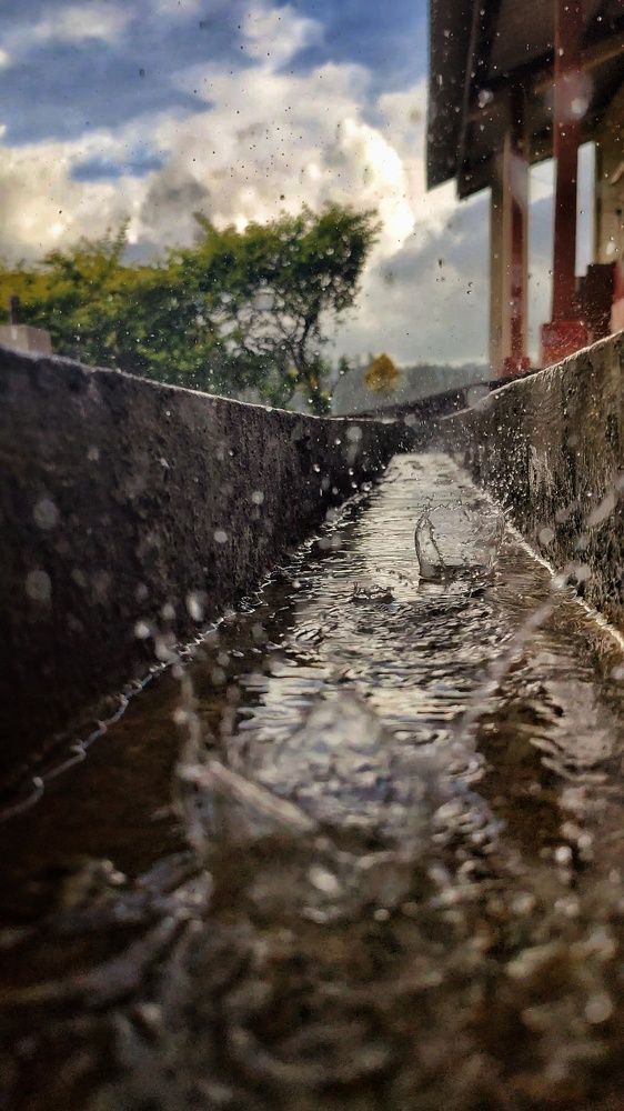Beauty falls with the Rain