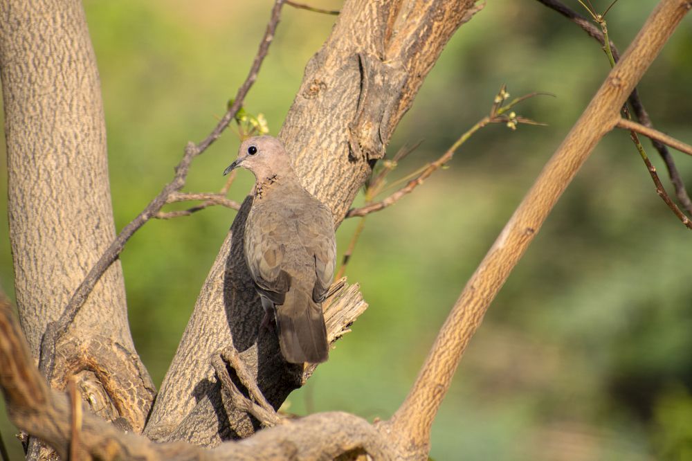 Photograph by mayur shrimali