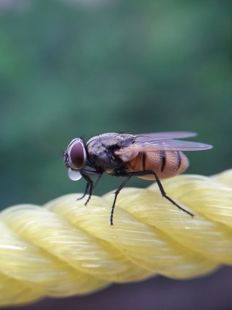 Photograph by Joy Karmakar