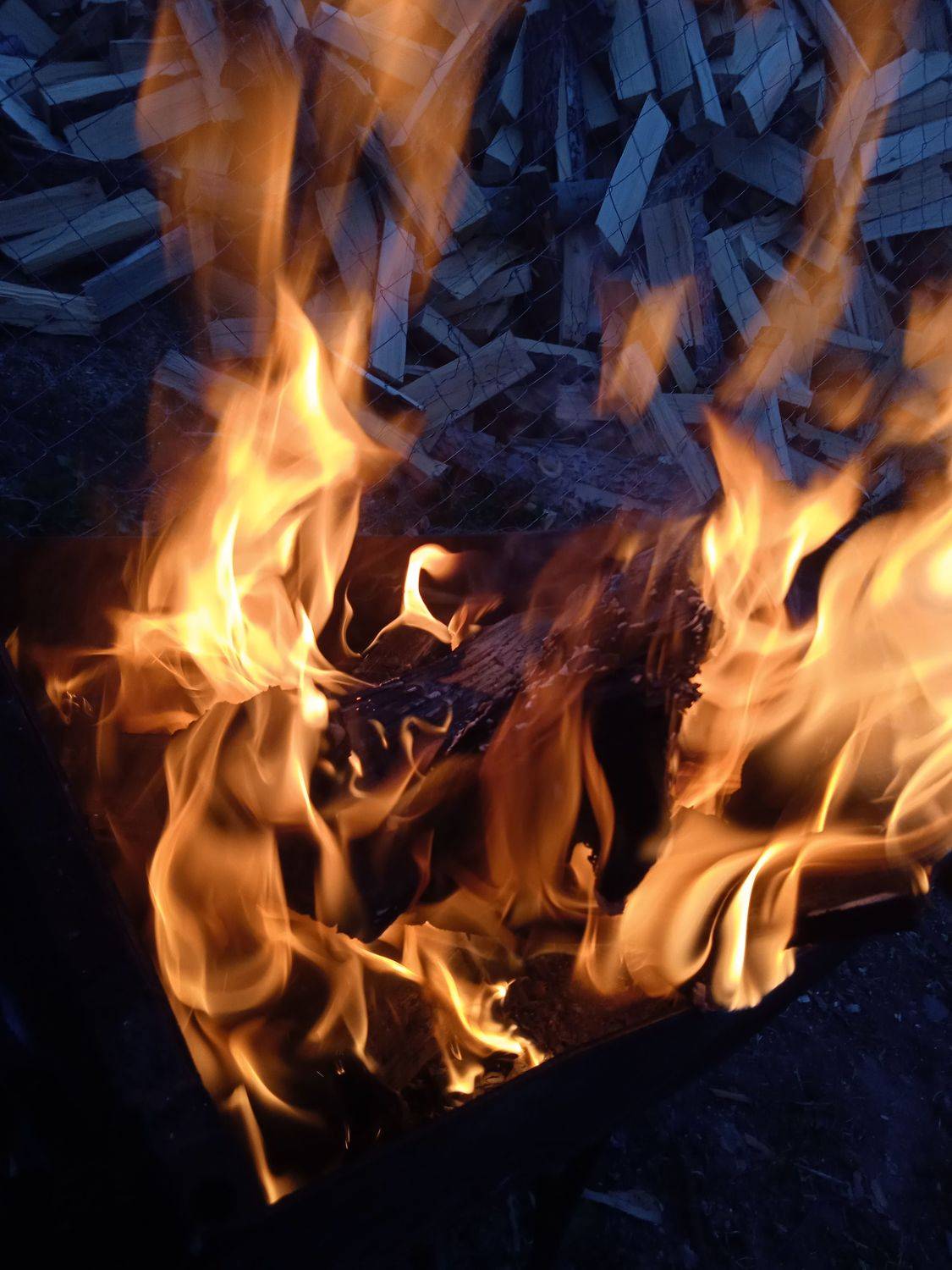Photo #7516150