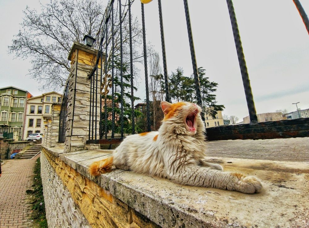 Photograph by Павел Синегубов