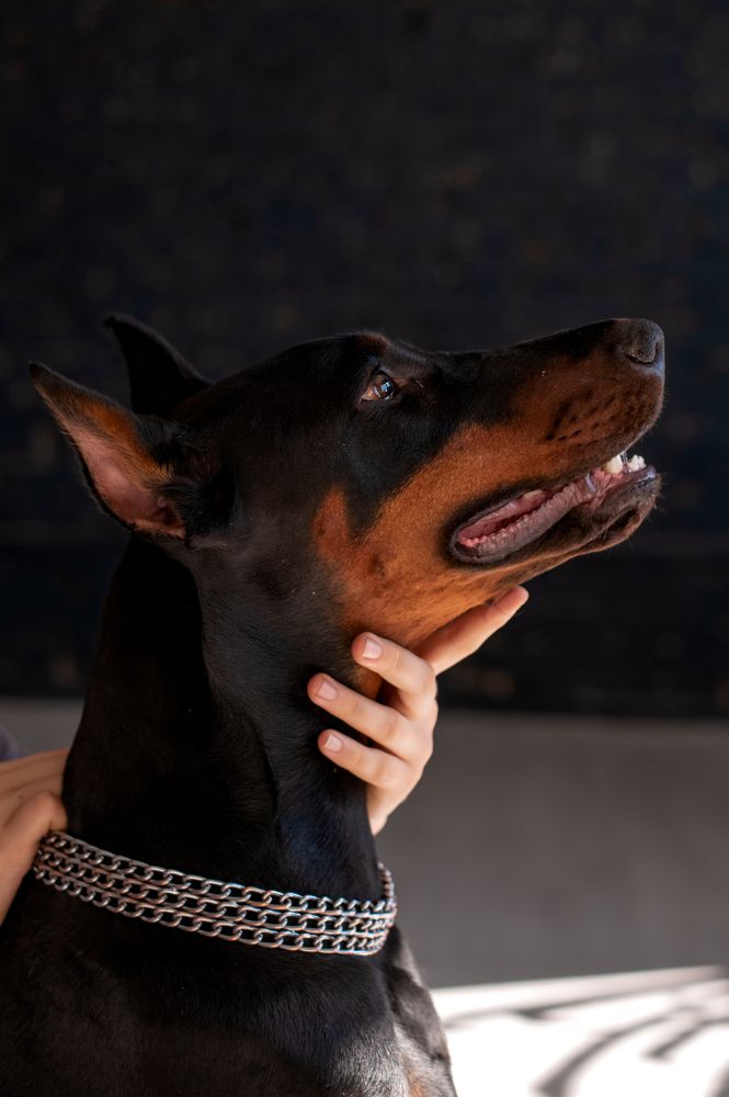 Photograph by Евгения Лебеденко