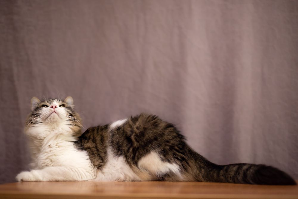 Photograph by Анастасия Пипко