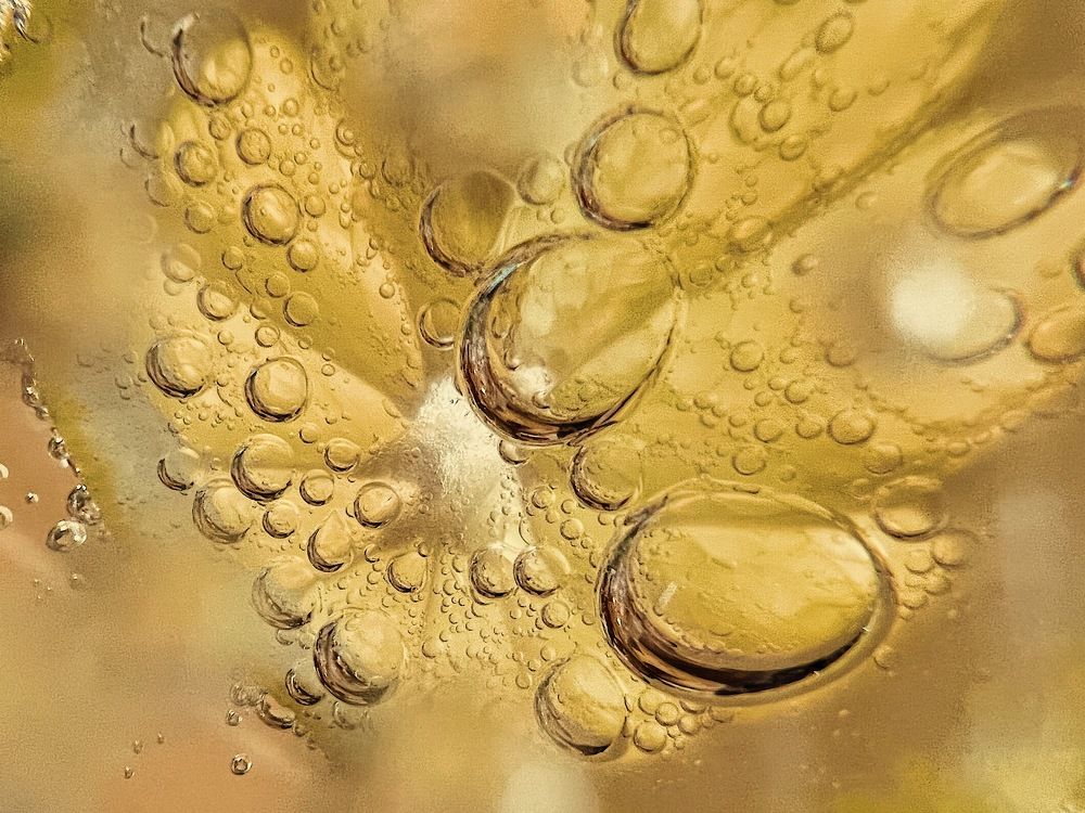 Photograph by Антонина Наговицына