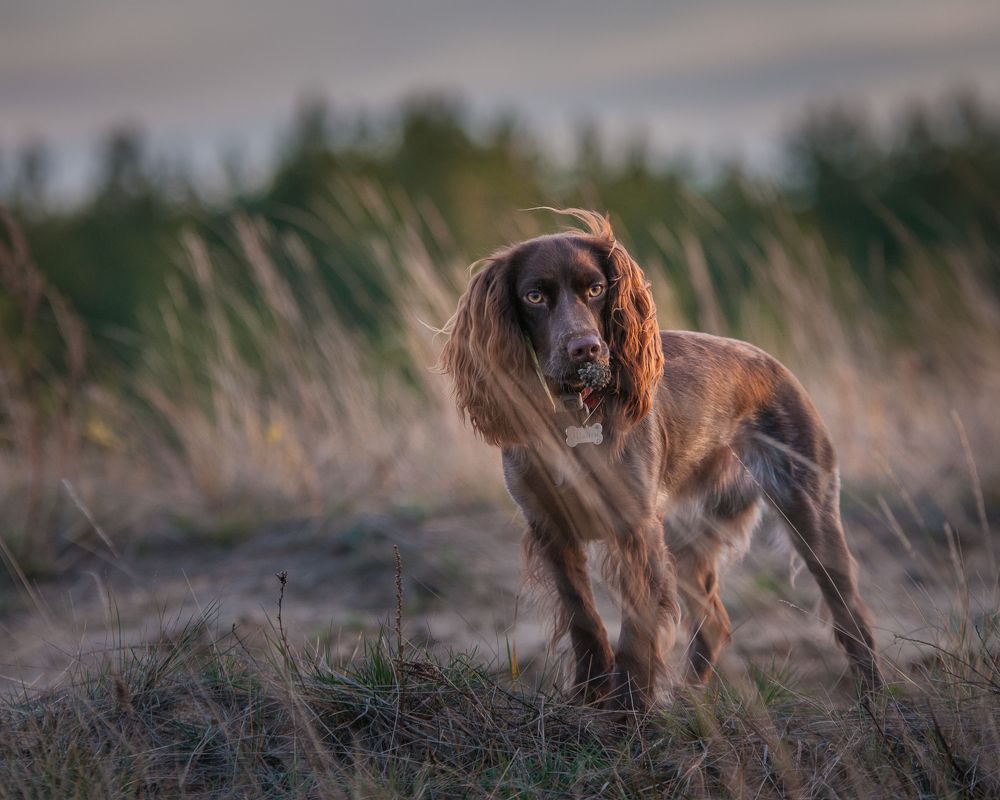 Photograph by Динара Зуйкова