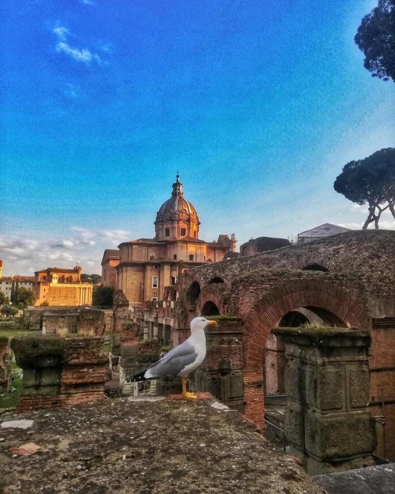 Photograph by Wilson baldion soler