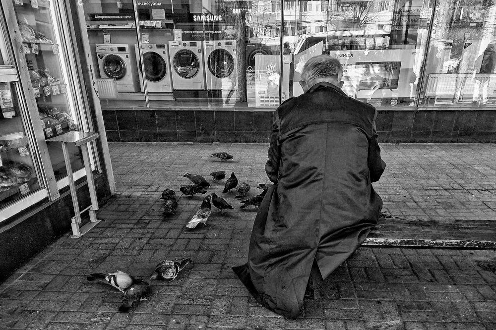 Photo #7516304