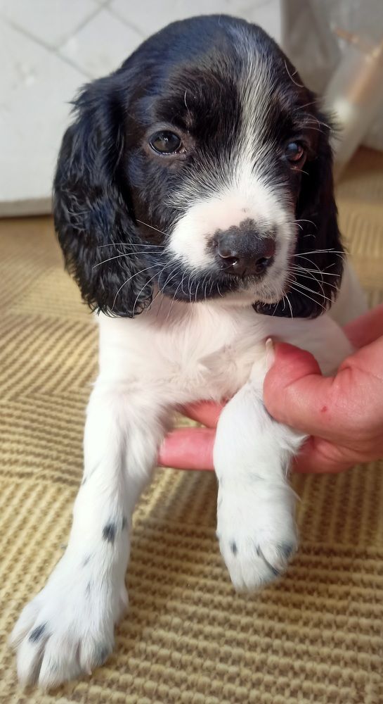 Photograph by Елизавета Мишина