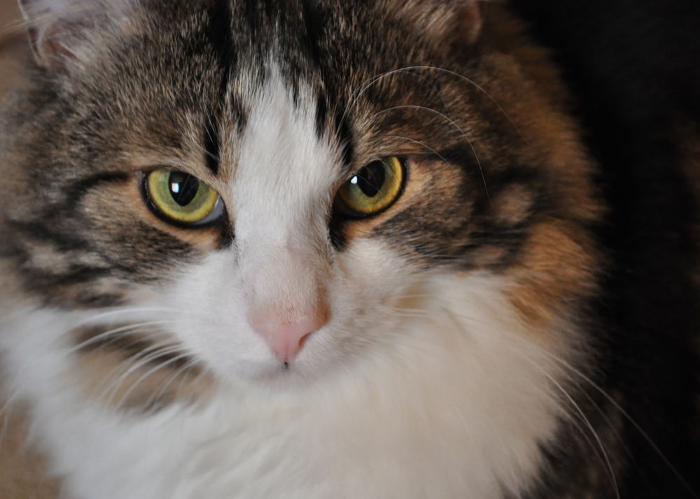 Photograph by Михаил Славный