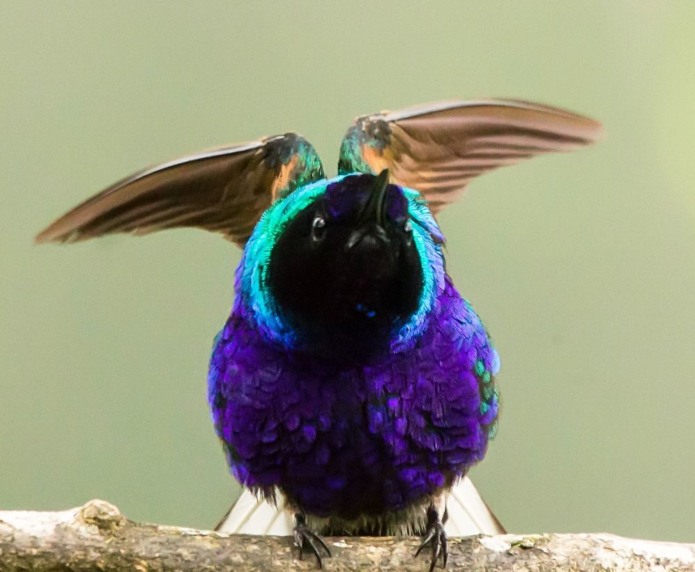 Photograph by Jair Lozano