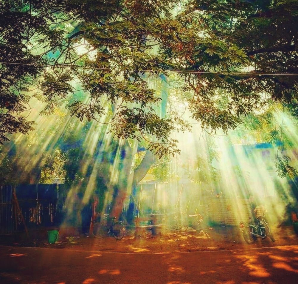 Photograph by S.Pavithra