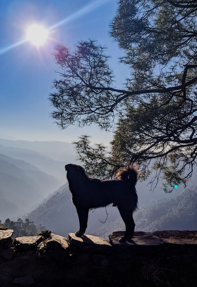 Photograph by Yadav Aeshvarya