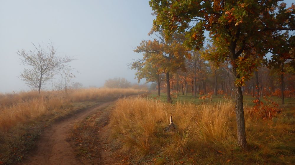 Осеннее утро