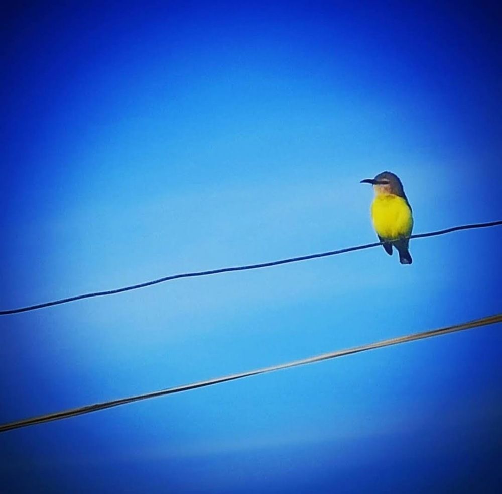 Photograph by S.Pavithra