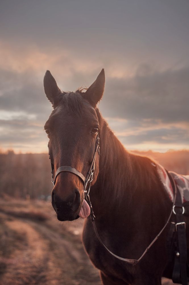 Photograph by Евгения Лебеденко