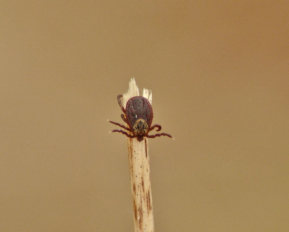 Photograph by Сергей Симаков