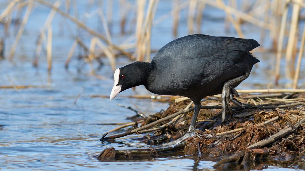Photograph by Иван Волков