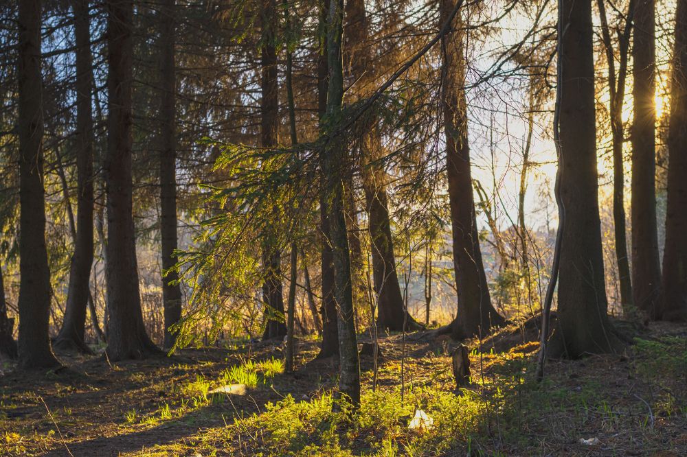 Photograph by С Павел