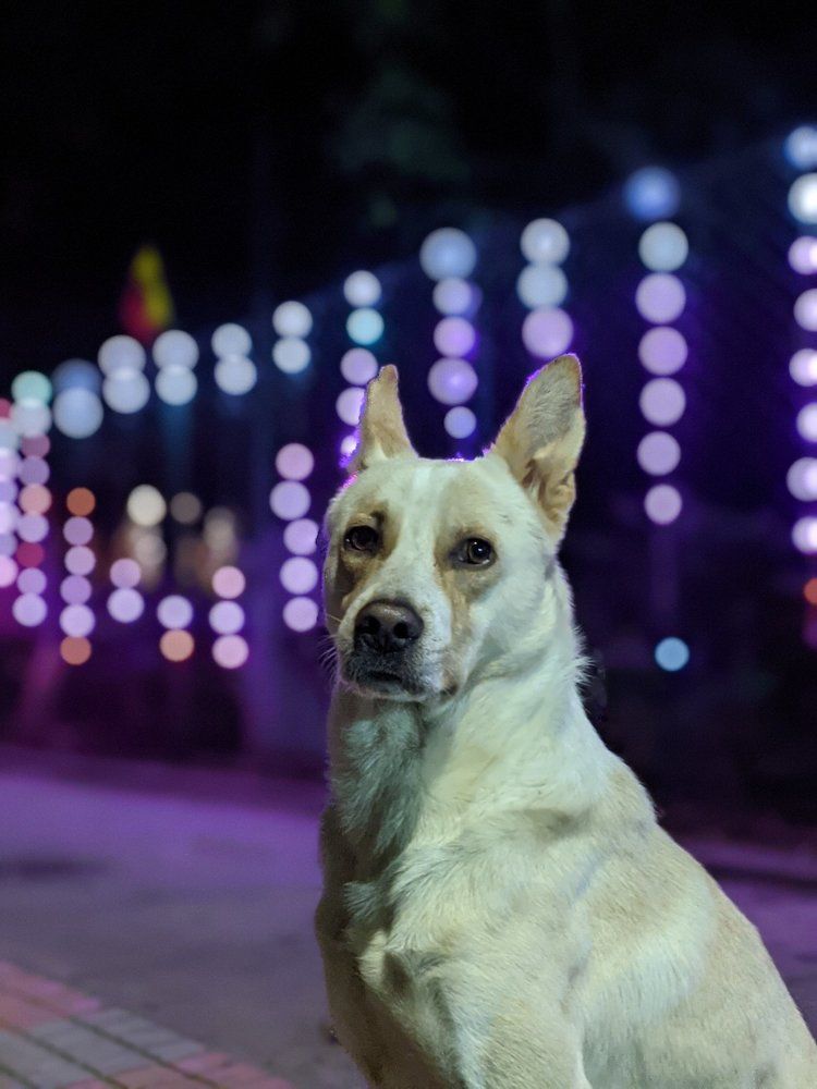 Photograph by Udhayakumar Saravanan