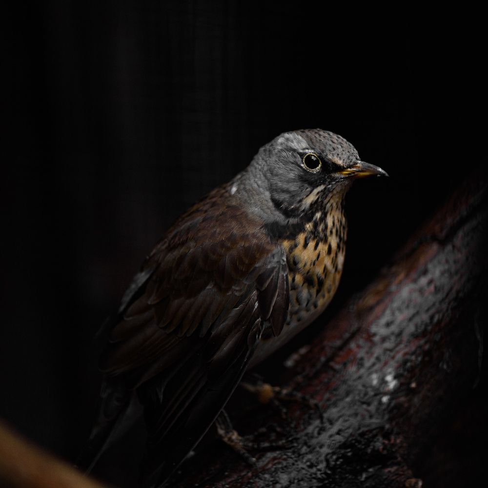 Photograph by Антон Бойков