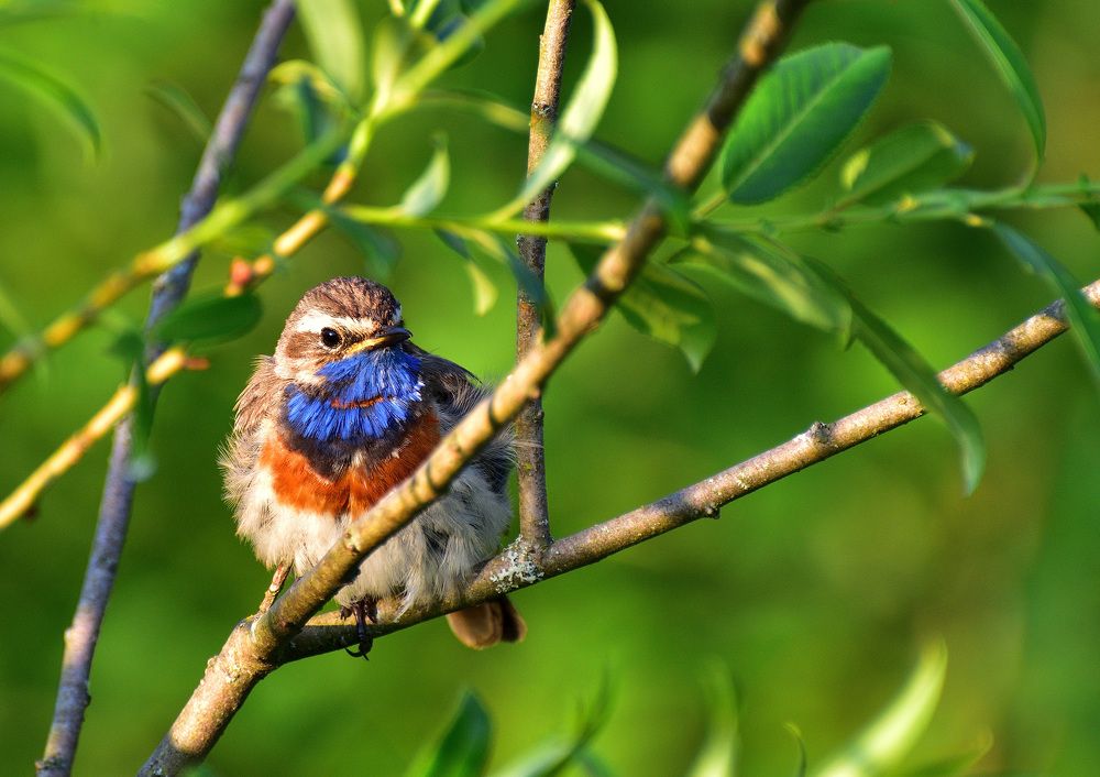 Photograph by Артем Клунко