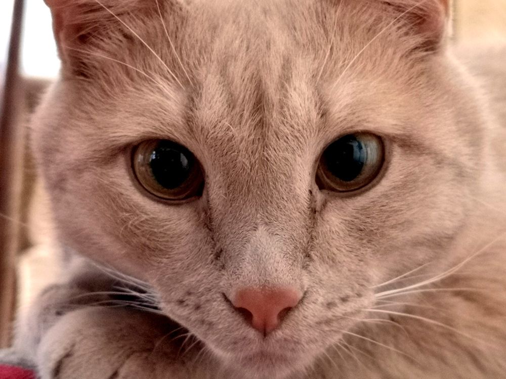 Photograph by Marina Razheva