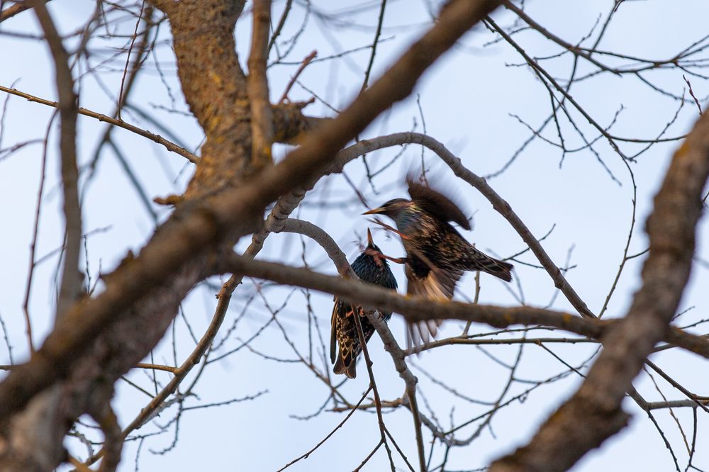 Photograph by Александр Скрементов