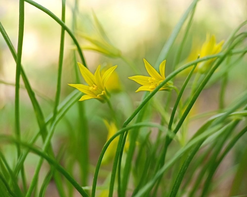 Photograph by Татьяна Чухина