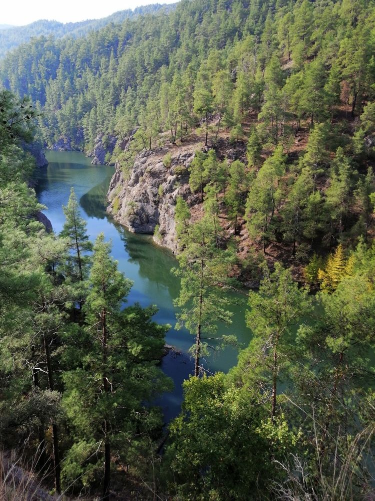 Photograph by Alp Aysgl