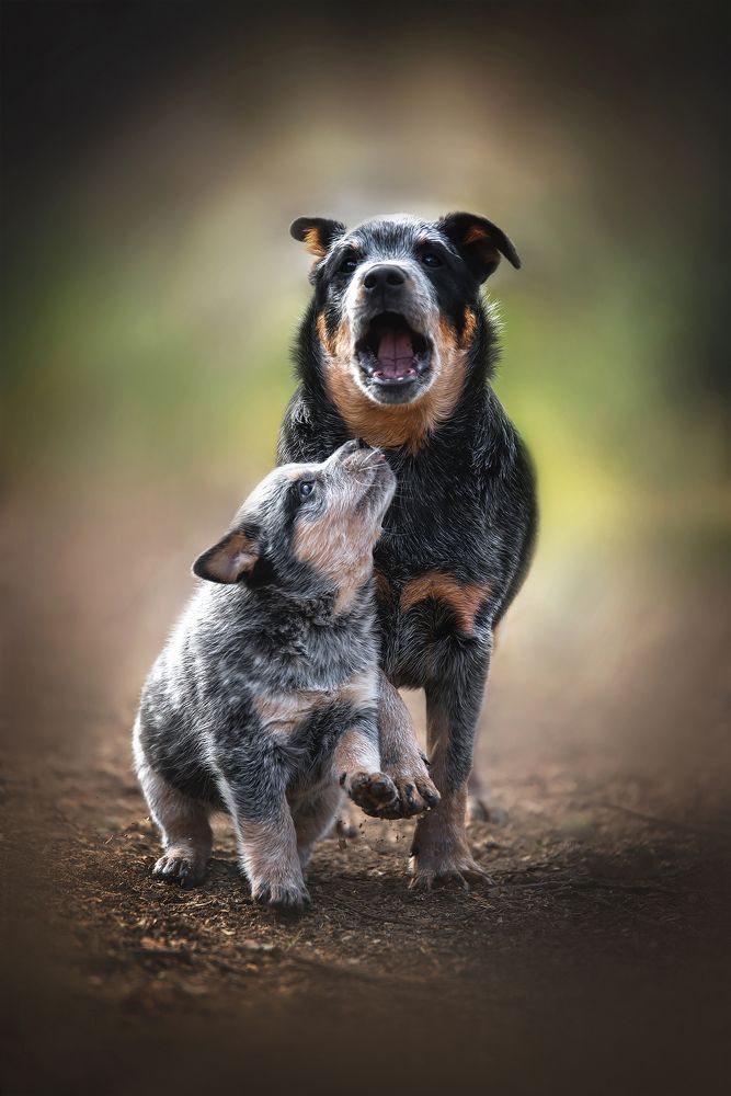 Photograph by Юлия Гончар