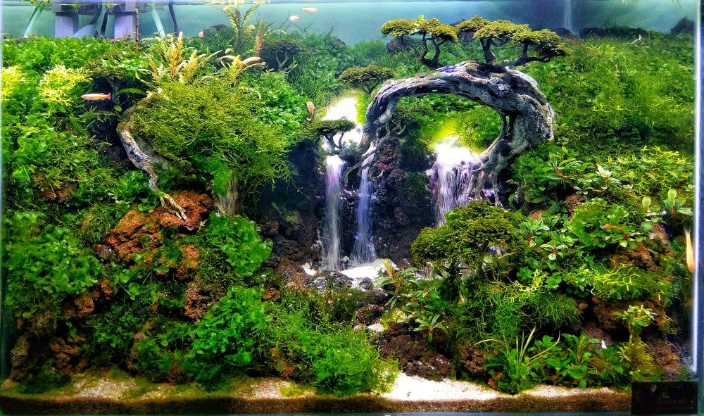 Photograph by Muhammad Faishol Husni