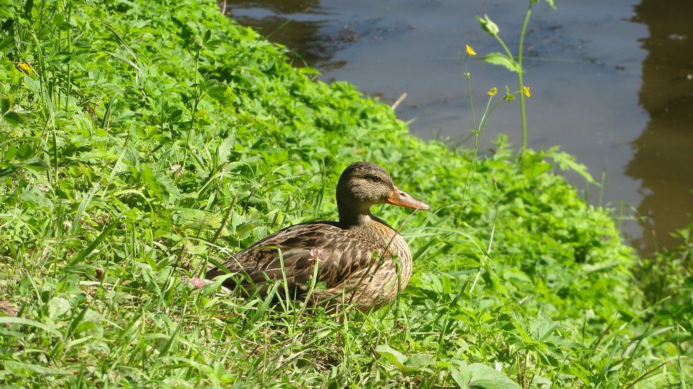 Photograph by Alexandra Migun