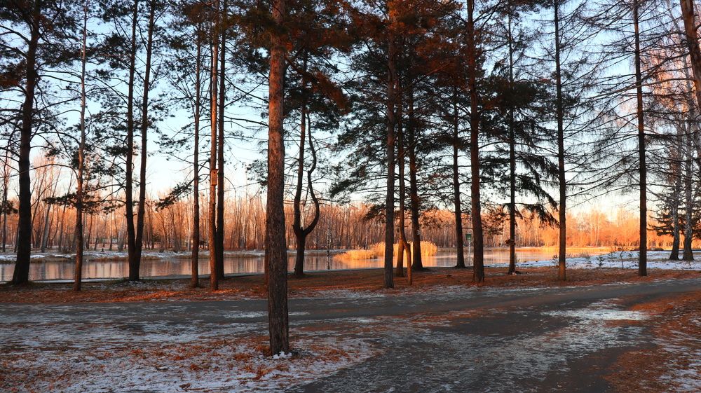Photograph by Алла