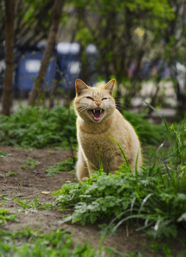 Photograph by Мари