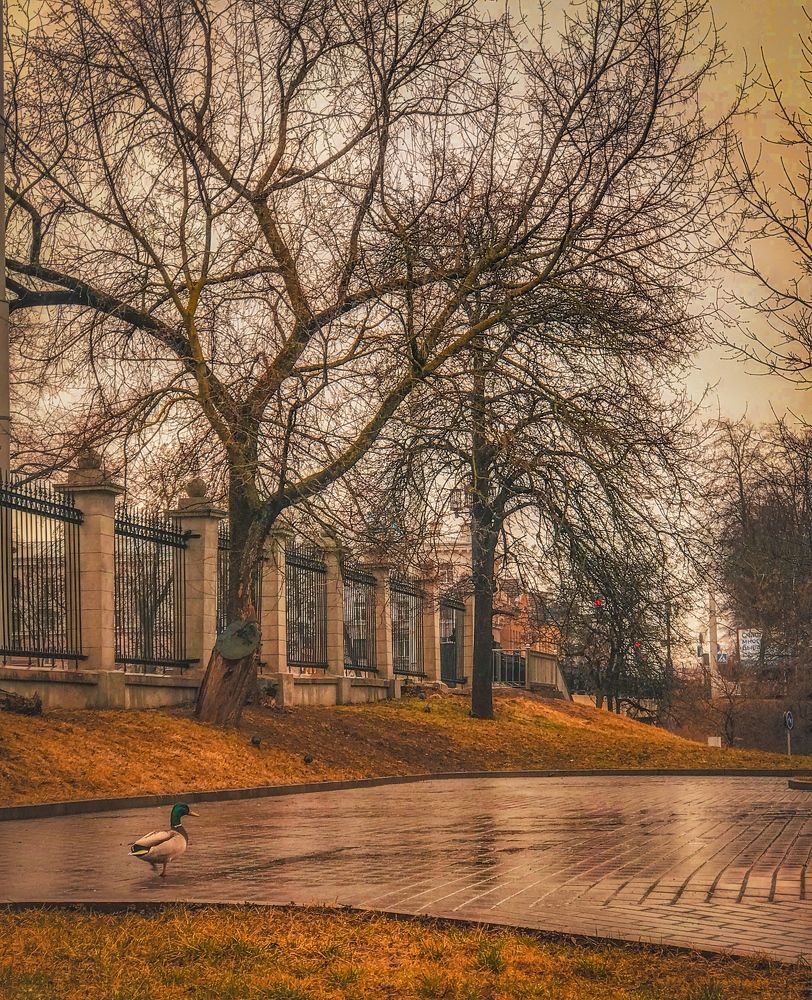 Photograph by Армен Егиян