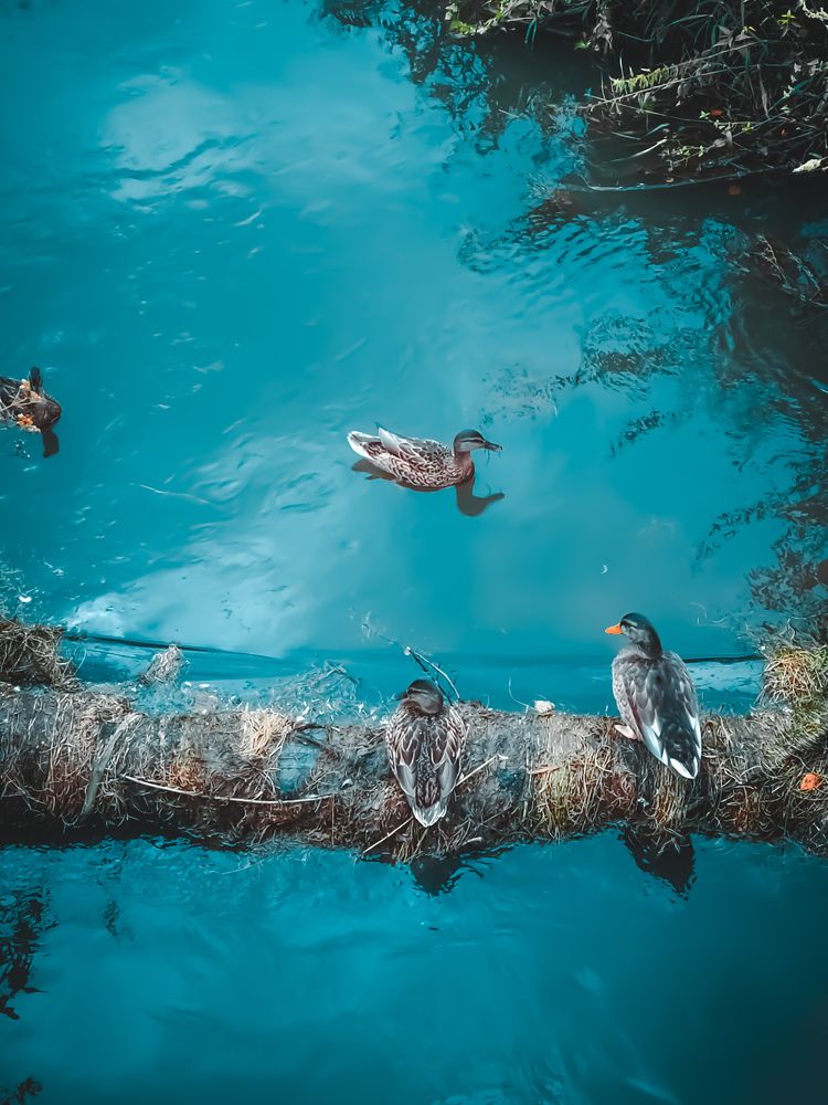 Photograph by Любовь Сухова