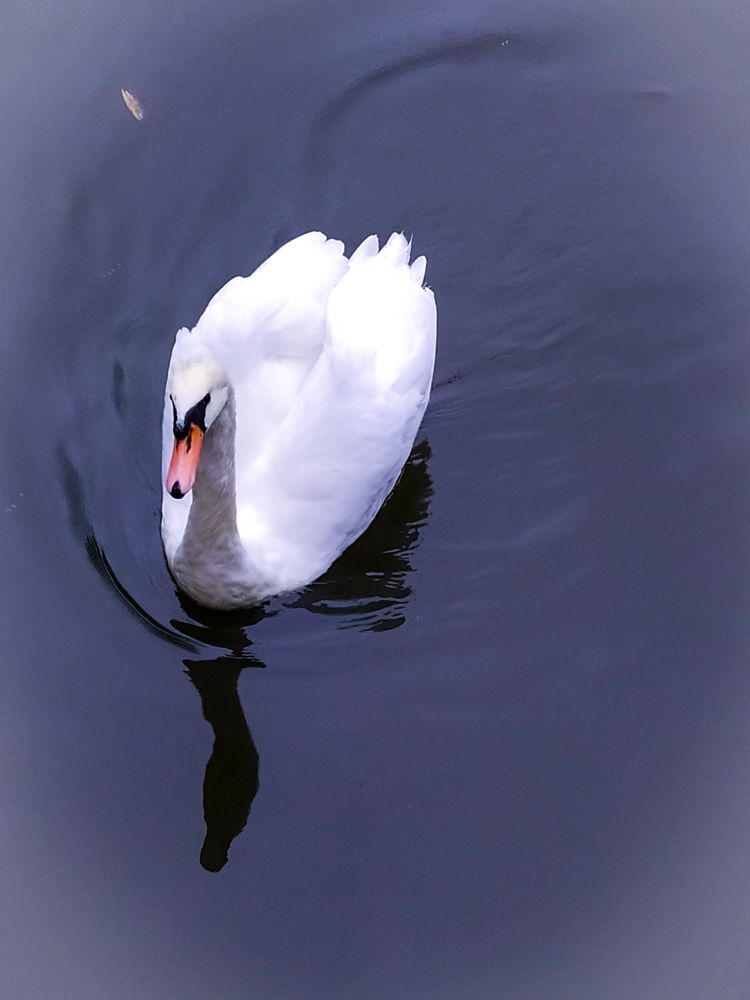 Photograph by Любовь Сухова