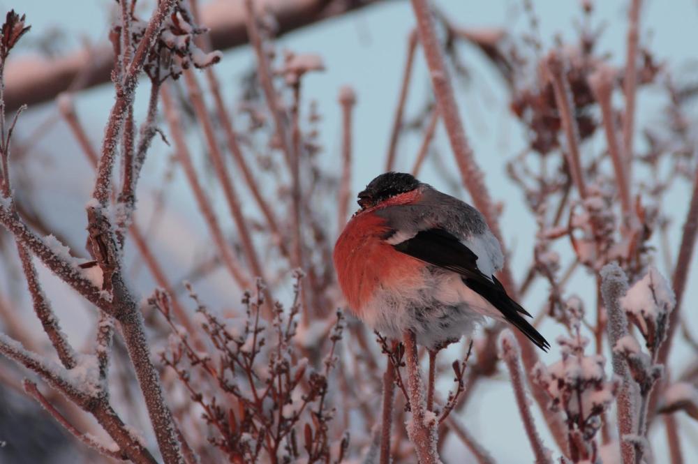 Photograph by Нина