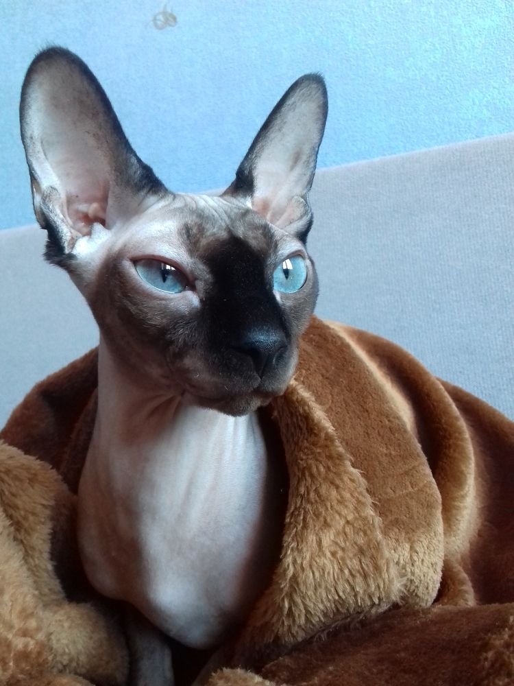 Photograph by Екатерина Познякова