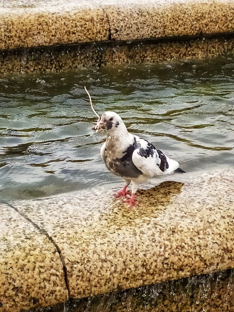 Photograph by Любовь Сухова